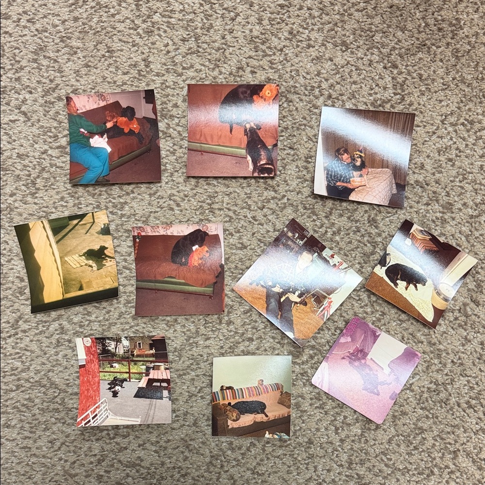 Vintage Photo Collection